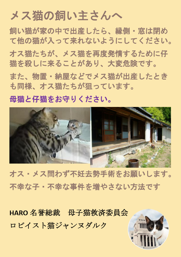 KIT⑥ ポスター「放し飼いの飼い主に 母子猫をお守りください」貼付・配布 3枚