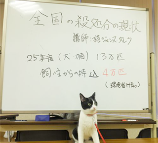 ②「国家資格の法律家による、命のリレー」プロジェクト