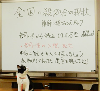 ②「国家資格の法律家による、命のリレー」プロジェクト