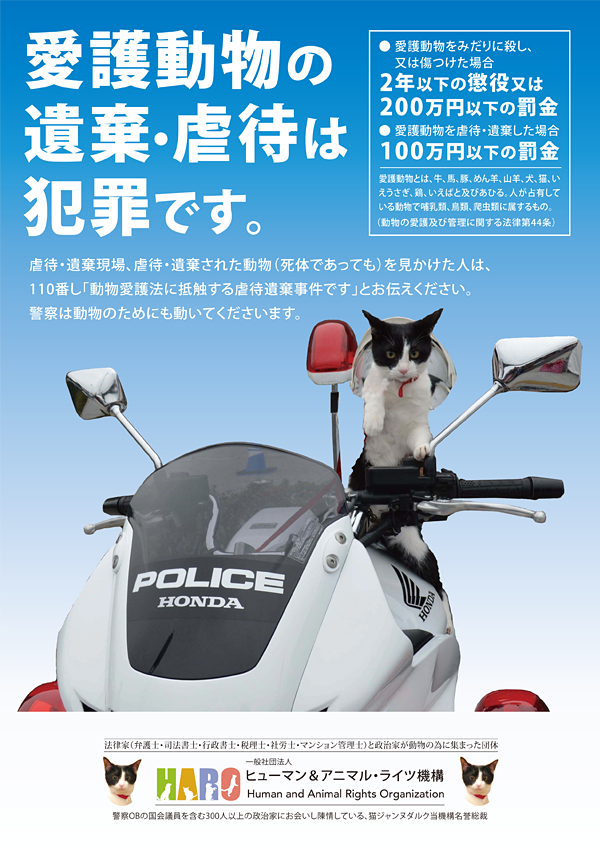 ①動物虐待防止プロジェクト