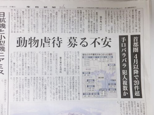 KIT② ポスター「動物虐待防止」貼付・配布 20枚