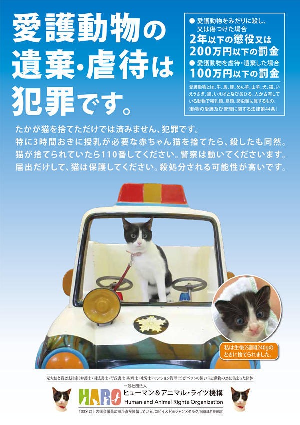 KIT③ポスター「遺棄は犯罪。たかが猫を捨てただけでは済みません。」貼付・配布 20枚