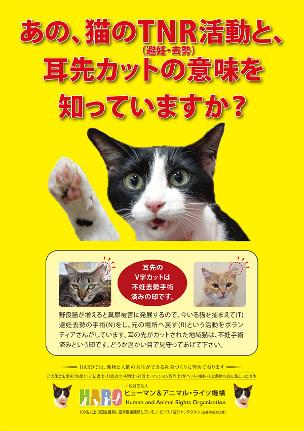 ①「TNR(避妊去勢)と耳カット」周知 プロジェクト