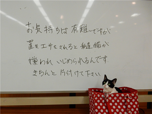 ②「置き餌は他人に迷惑だけでなく、猫がもっとも迷惑 」啓発 プロジェクトs