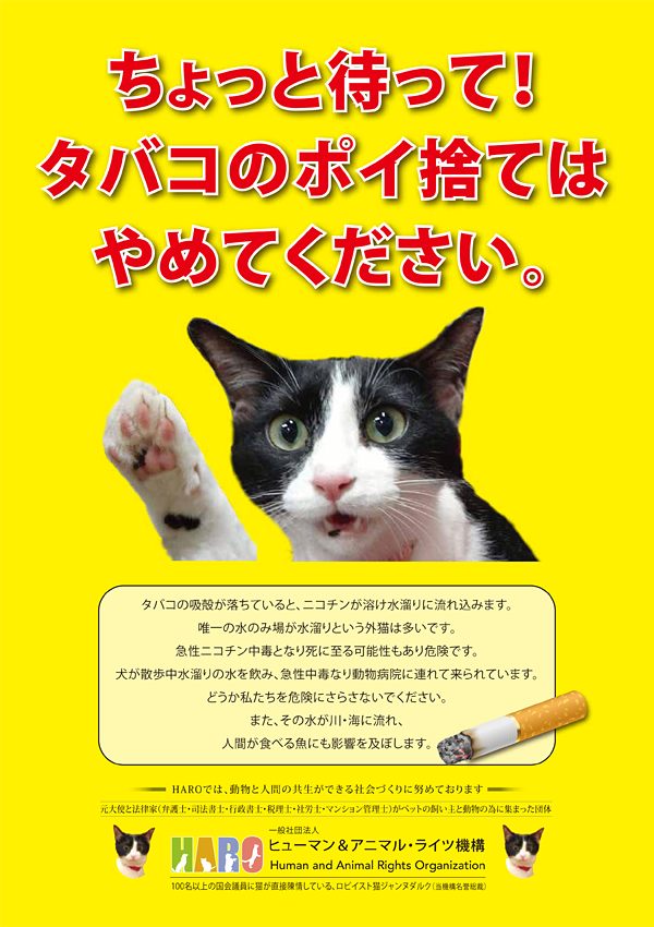 ①「たばこのポイ捨て禁止 水たまりの水で命をつないでいる猫のために」プロジェクト