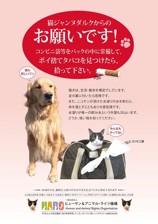 ②「吸殻を拾おう 水たまりの水で命をつないでいる猫のために」プロジェクト
